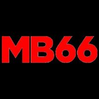 mb66feedback1