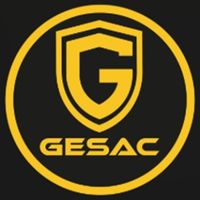 gesacseguridad