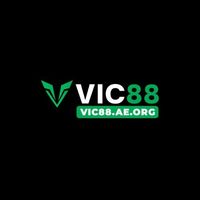 vic88aeorg