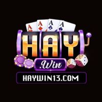 haywin13com