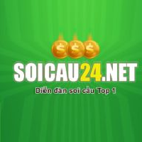 soicau24netsguv