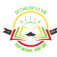 dethilop12vn