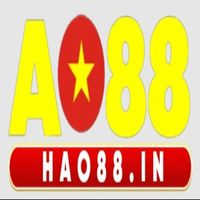 hao88in1