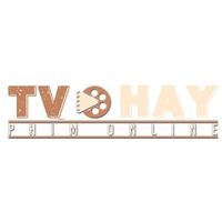 tvhayd