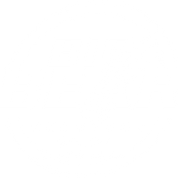 bigbearrecovery