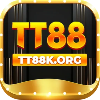 Tt88korg1