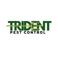 tridentpestcontrol