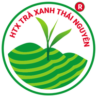 trathainguyenon