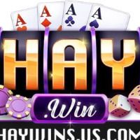 nchaywinsuscom