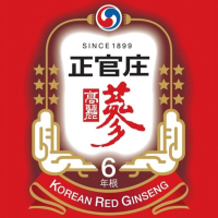 kgcvietnam1