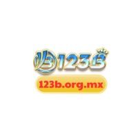 123borgmx1