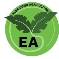 evergreenagriculture