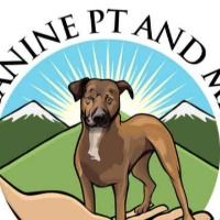 ccltearindogs