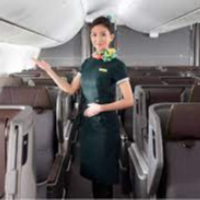 evaairvietnam