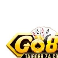 taigo88zacom