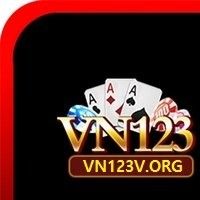 vn123vorg