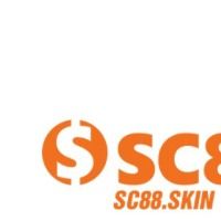 sc88skin1