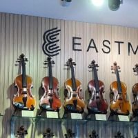 violinhoctap