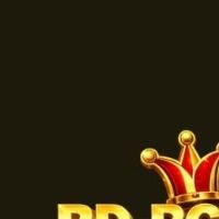 bgd55