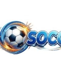 socolivelytuong