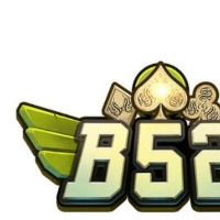 b52comse1