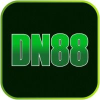 dn88art