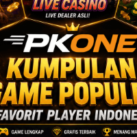 pkone_id