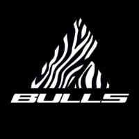 bullsbikesusa