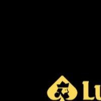 lu88zcncom