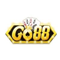 go8838com