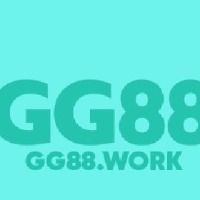 Gg88vnnet3