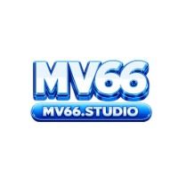 mv66studio