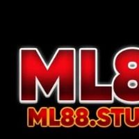 Ml88studio