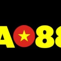 ao88t5net1