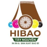 hibaotaynguyen1