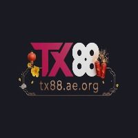 tx88aeorg