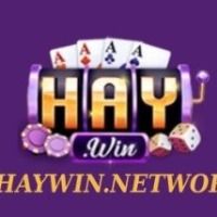 haywinnetwork1
