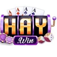 haywinsnet