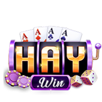haywinvipcocom