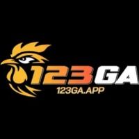 123gaapp11