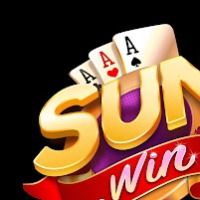 sunwintxinnet