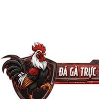 dagtructiept