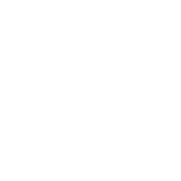 carsilk_premium