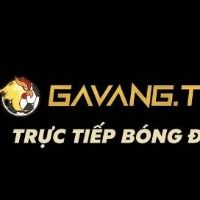 gavangtvcocom