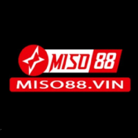 miso88vin