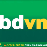 bdvn88co