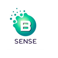 bsensegroup
