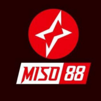 miso88today