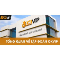 Okviplimited