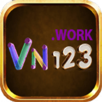 vn123work